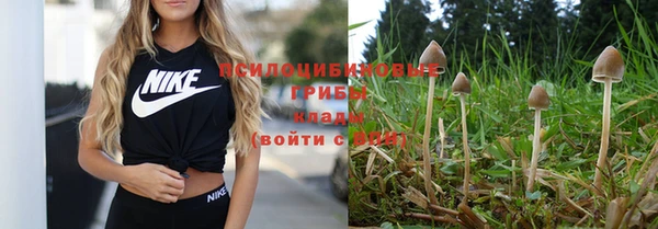 мяу мяу мука Алексеевка