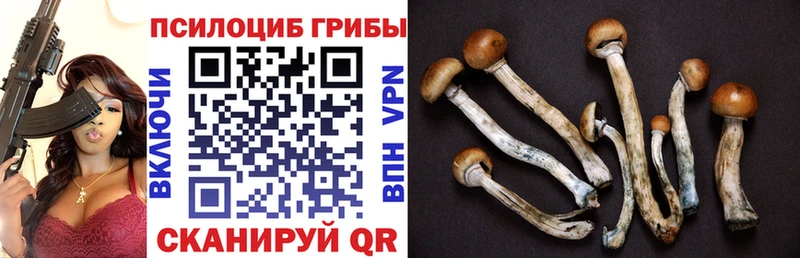 Галлюциногенные грибы мухоморы  купить  сайты  Кинель 