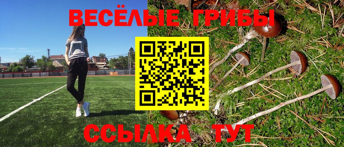 Галлюциногенные грибы GOLDEN TEACHER Кинель